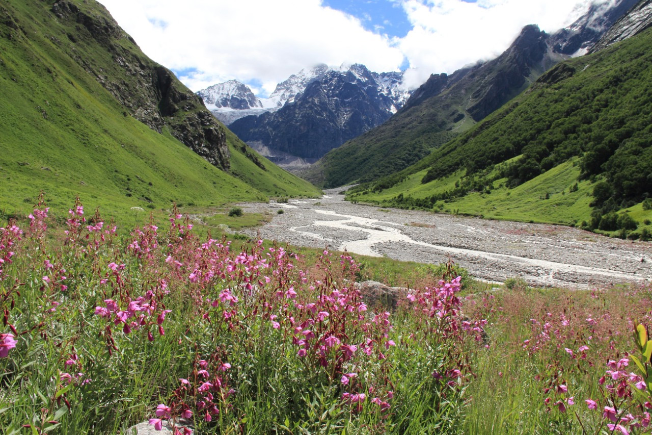 Best Time to Visit Valley of Flowers National Park