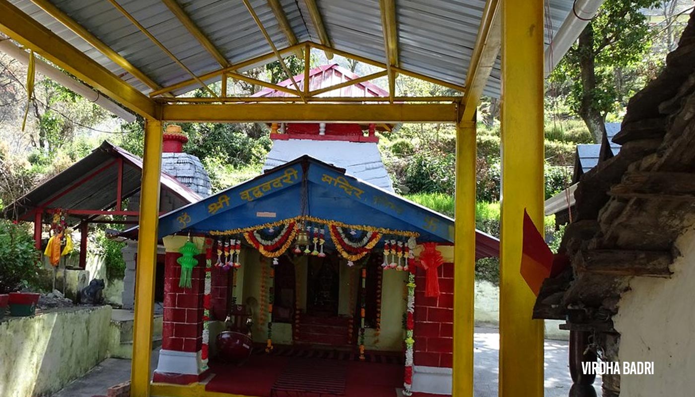 Virdha Badri