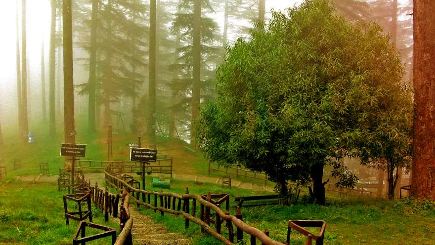 2 Nights Dhanaulti Tour Package