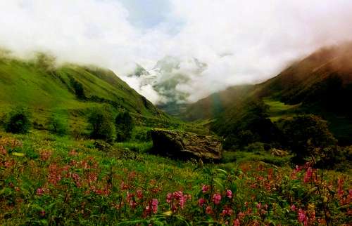 Valley Of Flowers Trek From Rishikesh