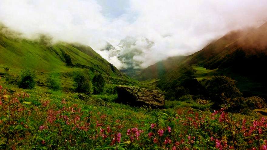 Valley Of Flowers Trek From Rishikesh